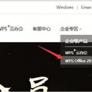 WPS+Office+2019+专业版（茂名市党政机关单位）